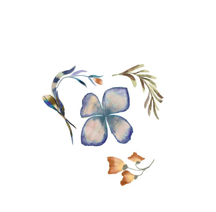 Mother's Day Campaign — cover image